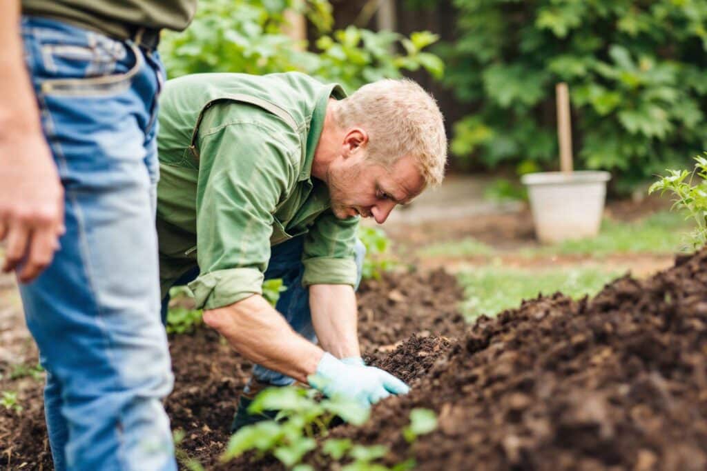 Le lien invisible entre mes erreurs de culture et l'état de mon compost : guide réparateur