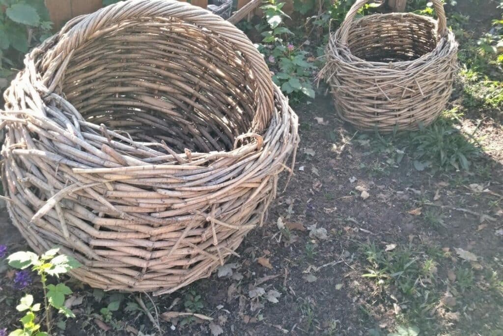 Paillage jardin matériaux naturels : guide et comparatif